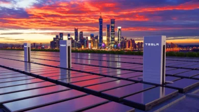 Tesla China Battery Project Renewable Energy: Pioneering the Future of Sustainable Power tesla china battery project renewable energy