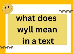 What Does WYLL Mean: A Complete Guide to Its Meaning and Use what does wyll mean
