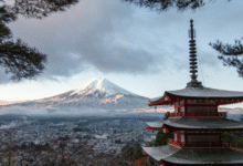 Highlights of Nummazaki: An Introduction to a Unique Place highlights of nummazaki