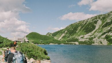 Why Nature-Focused Vacations Are on the Rise (And Where to Go Next)