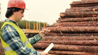 The Role of Lumber Estimation in Cost Control and Profitability