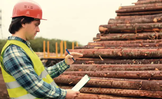 The Role of Lumber Estimation in Cost Control and Profitability The Role of Lumber Estimation in Cost Control and Profitability