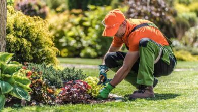 Introduction to Professional Landscaping and Lawn Care Yard Art Landscaping
